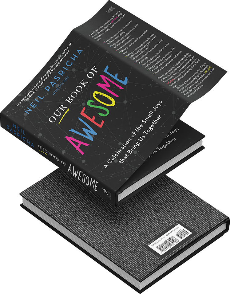 Cover of Our Book of Awesome